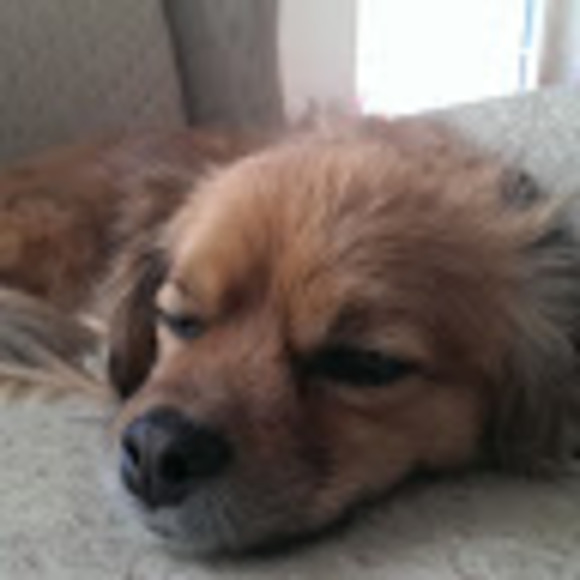 Meet your Posher, Luke - Picture 1 of 1